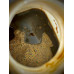 Boilies cu Miez Lichid Nutrigo, Monster Crab, 250ml, 24mm