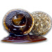 Boiles Nutrigo cu Miez Lichid, Alune Tigrate, 200ml, 20mm Boiles Nutrigo cu Miez Lichid, Alune Tigrate, 200ml, 20mm